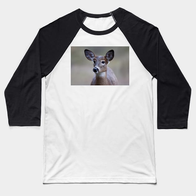 So forlorn - White-tailed Deer Baseball T-Shirt by Jim Cumming